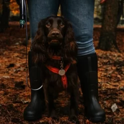 Muck Boot Gummistiefel Muck Muckmaster Schwarz -Regenstiefel Geschäft gbt 11558 19586 b 9 3 3deb07da 8067 47f9 8ab8 b1004ae765f9 1800x1800